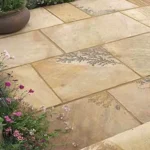 Fossil Mint Sandstone