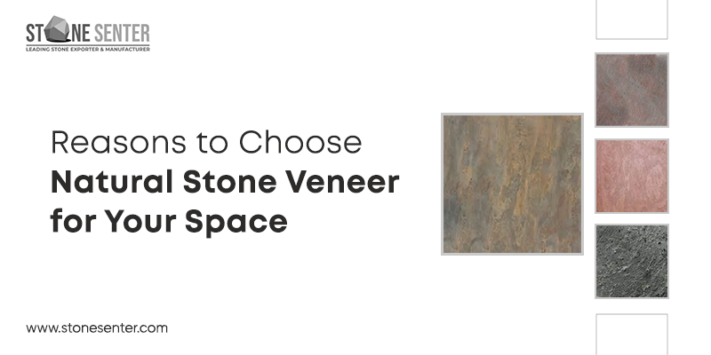 Natural Stone Veneer for Your Space: 5 Reasons to Choose